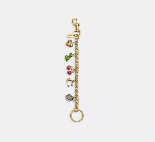 Extension Charm